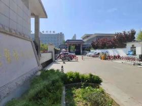 做「人肉」生意的女孩